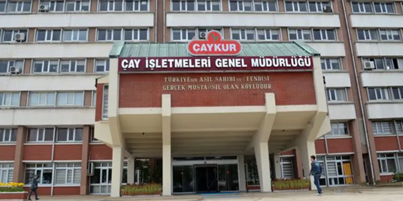 2025 Mayıs Çay Bedeli ve Budama Tazminatları Ödeniyor!