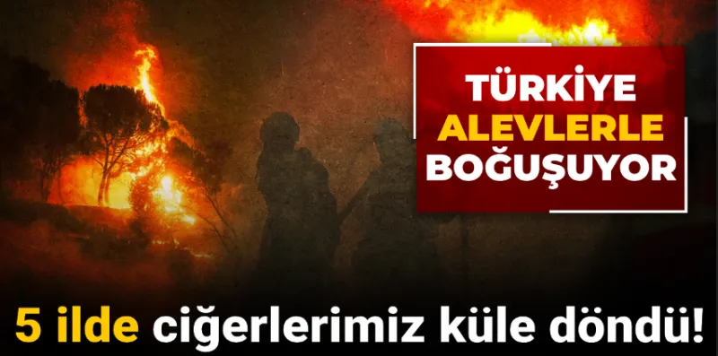 5 ilde ciğerlerimiz küle döndü! Türkiye alevlerle boğuşuyor
