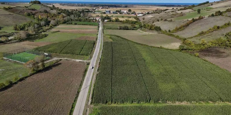 700 üreticiye can suyu