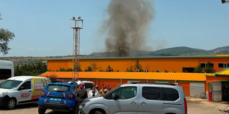 Ankara'da yumurta tesisinde yangın; 150 bin tavuk öldü
