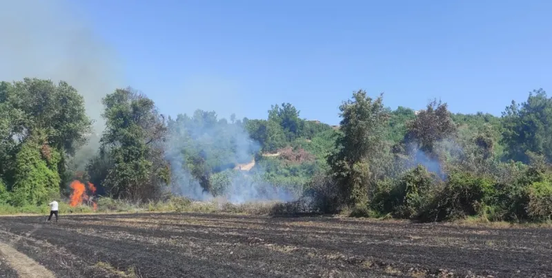 Antalya'da Korkutan Yangın! Orman Alevlere Teslim Mi Oldu?