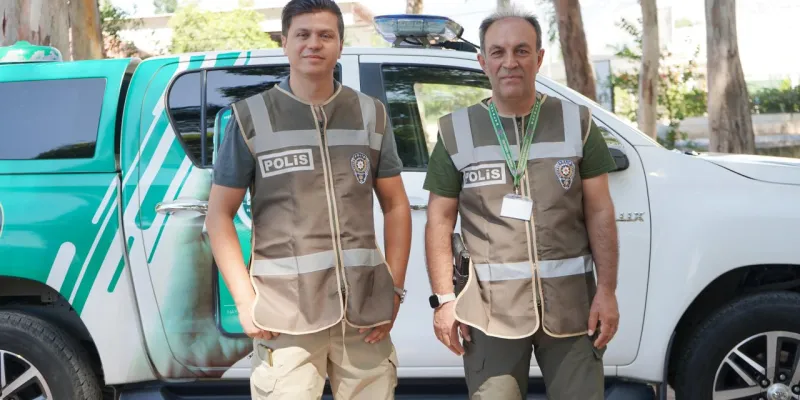 Hayvana Çarptın ve Kaçtın mı? Cezası Dudak Uçuklatıyor!