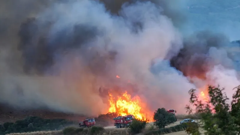 Balıkesir Susurluk'taki orman yangını kontrol altına alındı