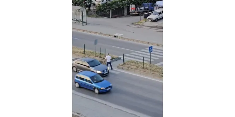 Bartın - Yaya geçidinde defalarca karşıya geçip geri döndü /Video eklendi
