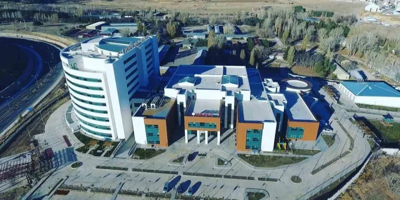 Bayburt'ta Şok! Hastaneye Bir Ayda Kaç Kişi Başvurdu?