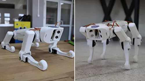 Bayburtlu öğrencilerden görme engelliler için yapay zeka destekli robot köpek