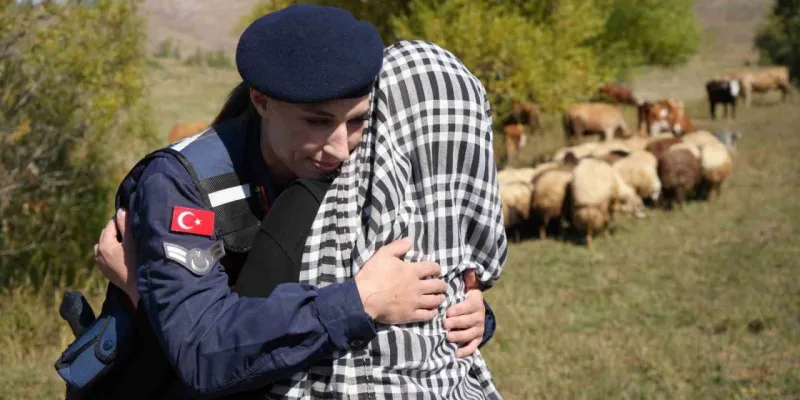 Bayburt'ta Kaybolan Koyunlar: Jandarma Dağda Buldu!
