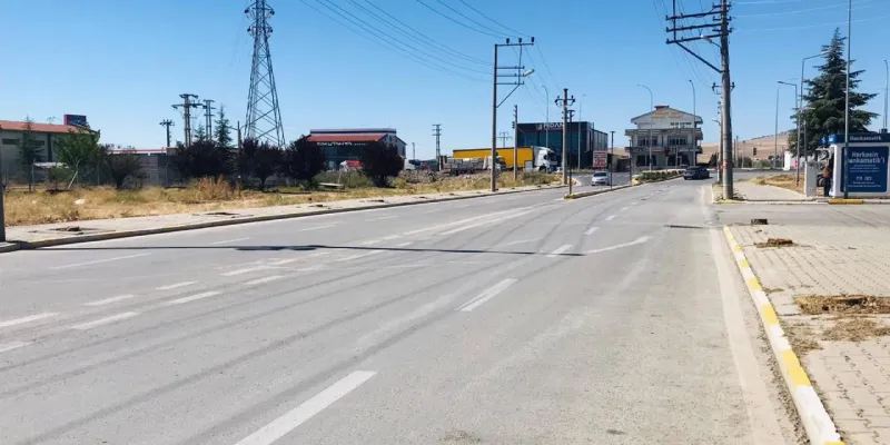 Bolvadin'de Ağaç Katliamı mı? Vatandaşlar Ayaklandı!