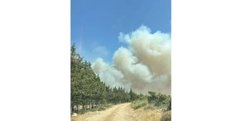 Çanakkale'de tarım arazisinde yangın