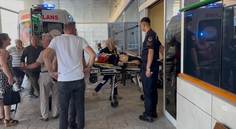 Gölcük'te Facia! Çınar Ağacı Devrildi, 3 Yaralı! Son Dakika
