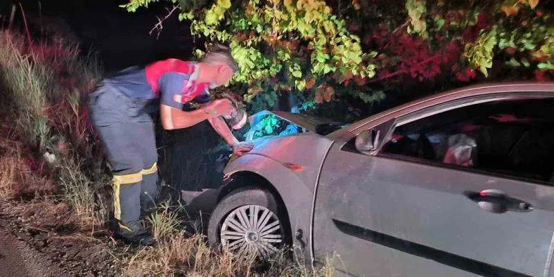 Çorum’da kontrolden çıkan otomobil ağaca çarptı: 2 yaralı