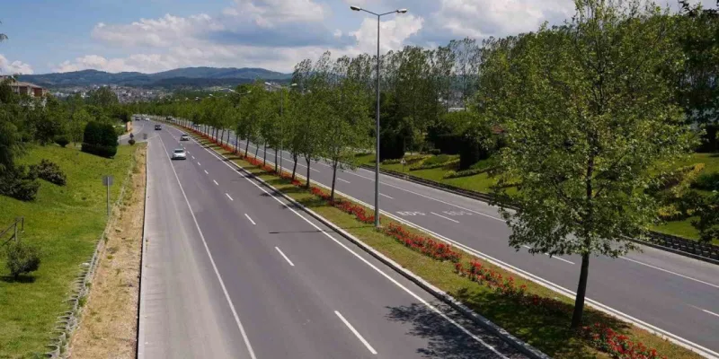 Düzce'de Alarm! Sıcaklık Rekoru: Valilikten Kritik Uyarı!