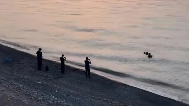Düzce'de Deniz Faciası: Sağlıkçı Boğularak Hayatını Kaybetti!