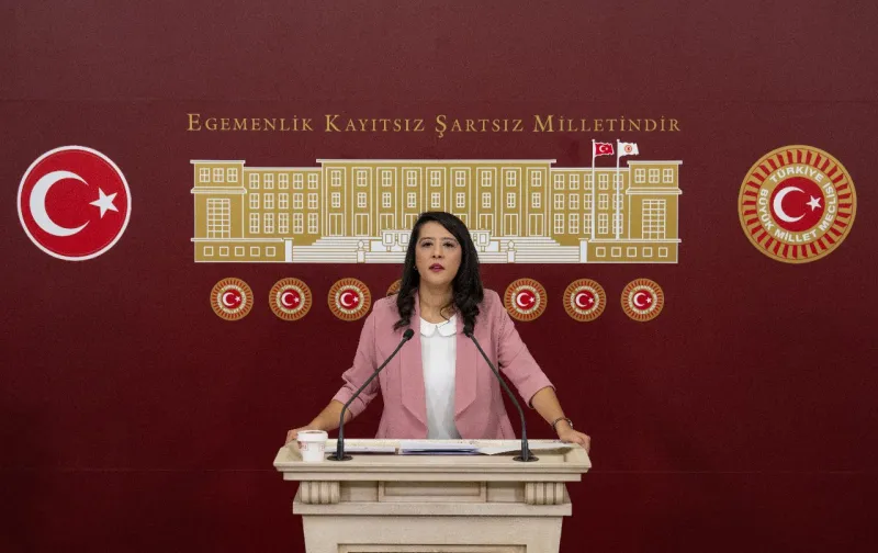EMEP'li Karaca'dan Kritik Çağrı: Türkiye Seyirci Kalmayacak!