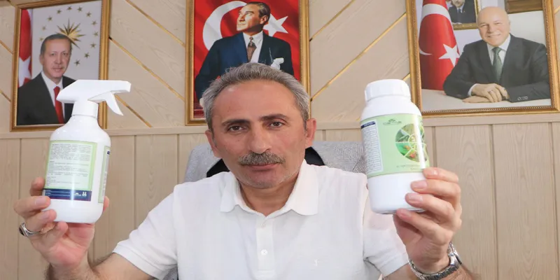 Kokarca Böceğine Organik Çözüm! Erzurum'dan Müjde!