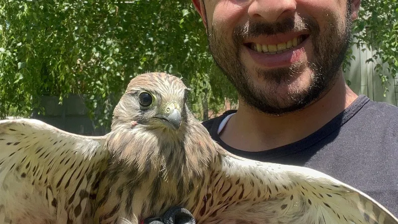 Erzurum'da Kerkenez Mucizesi! Bitkin Bulundu, Şimdi Özgürce Uçuyor!