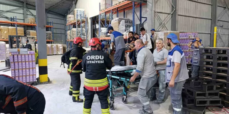 Fabrikada palet makinesine sıkışan işçi ağır yaralandı
