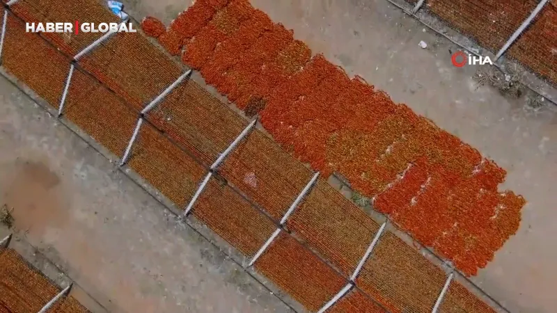 Gaziantep'te kurutmalık sezonu başladı