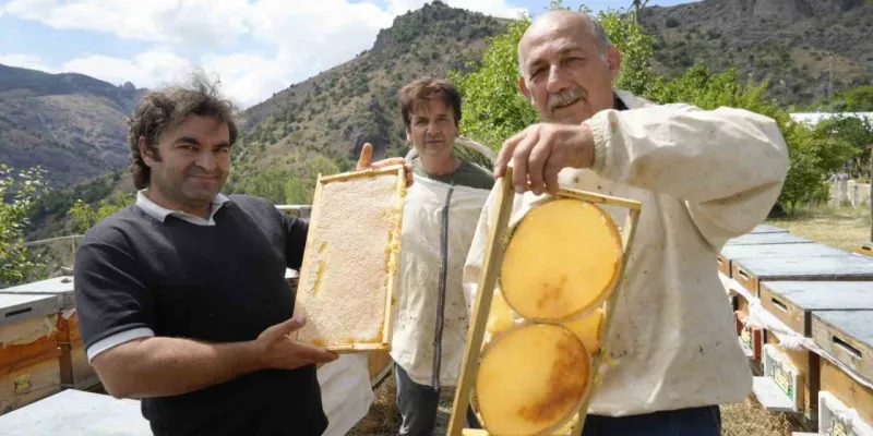 Gümüşhane’de 2025 yılı bal hasadı üreticilerin yüzünü güldürdü