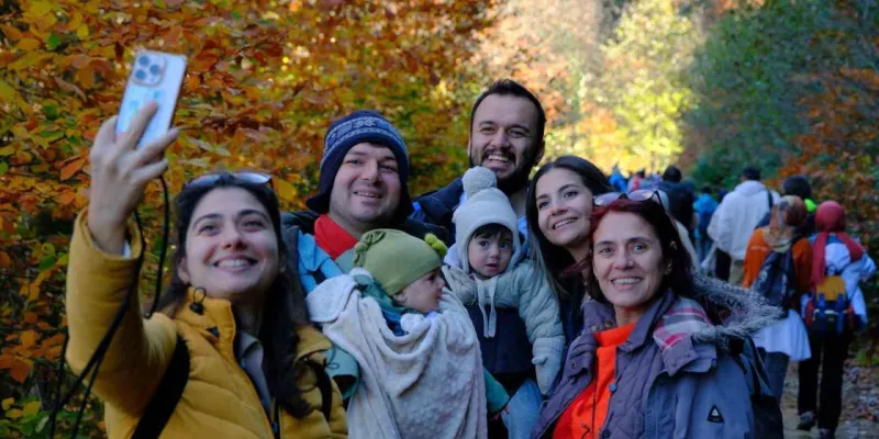 Gümüşhane Örümcek Ormanları: Doğal Müze Ziyaretçi Akını!