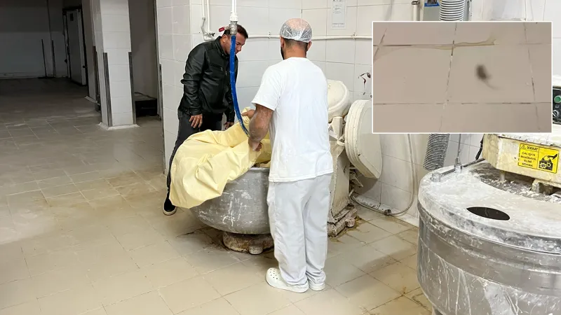 Halk ekmek fabrikasında fare skandalı! Mide bulandıran olay