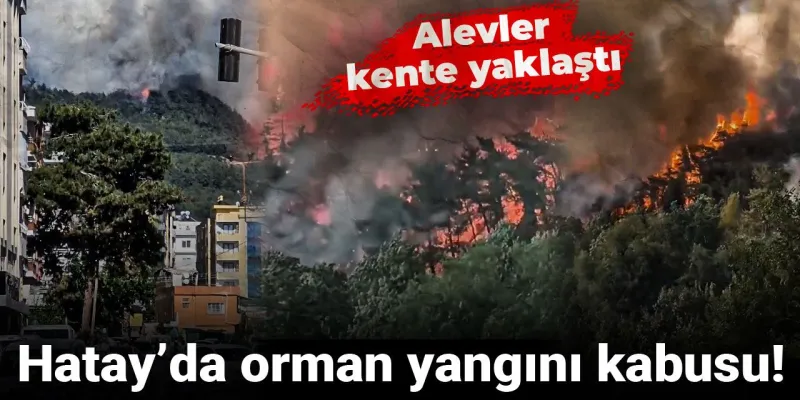 Hatay’da orman yangını kabusu: Alevler kasabaya yaklaştı