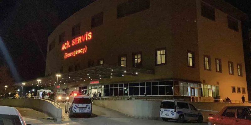 ‘Hayvan otlatma’ kavgası kanlı bitti: Komşusunu öldürüp intihar etti