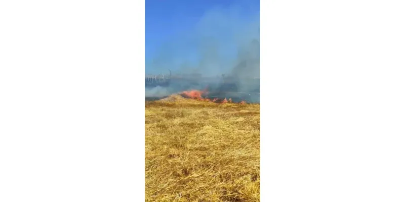 Arnavutköy'de Tarlada Yangın! Vatandaş Hortumla Alevlere Böyle Müdahale Etti