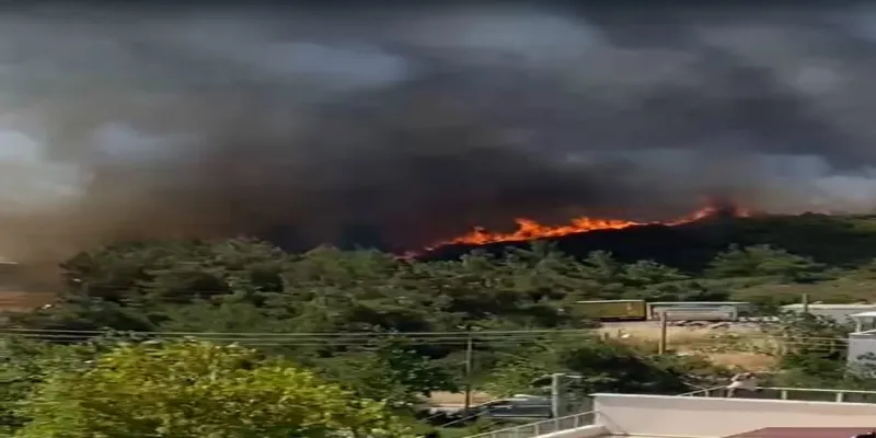 İzmir'de Korkutan Yangın: Ormanlar Alevlere Teslim!