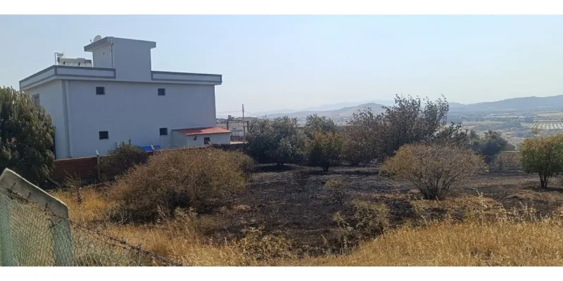 İzmir'de orman yangını; 4 gözaltı (4)