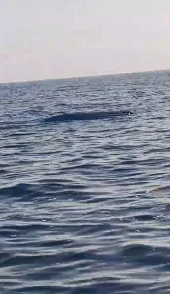 Karadeniz'de Gizemli Cisim! İnsansız Deniz Aracı mı?