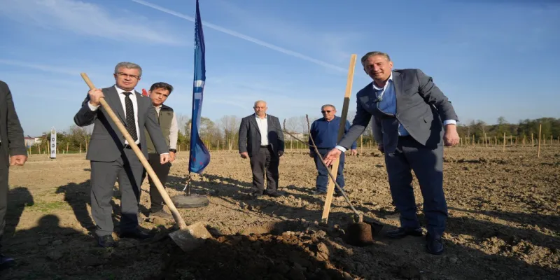 Karadeniz'in en büyük incir projesi: 50 milyon TL gelir kız çocuklarına verilecek