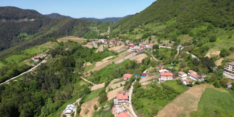 Küre Dağları Milli Parkı'nda Bahar Güzelliği