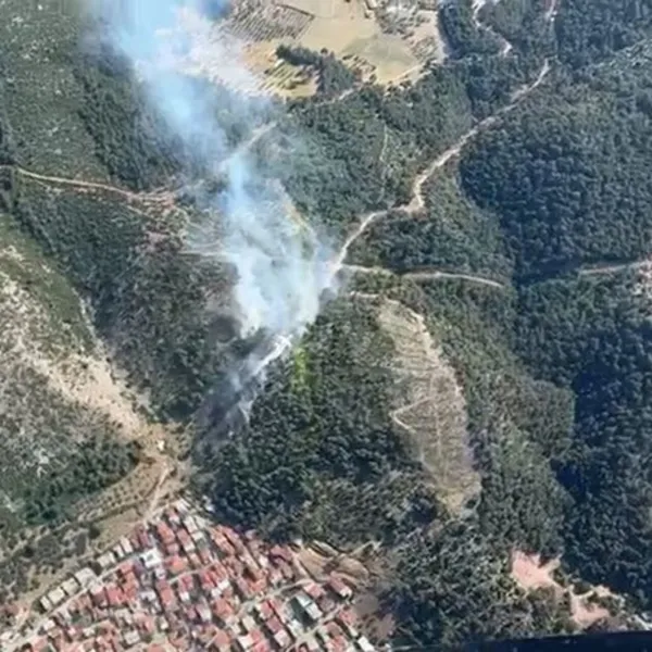 Manisa'da korkutan orman yangını!