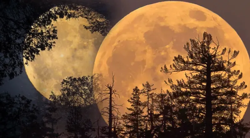 Akrep Dolunayı: Burçları Neler Bekliyor? İşte Astroloji Yorumları!