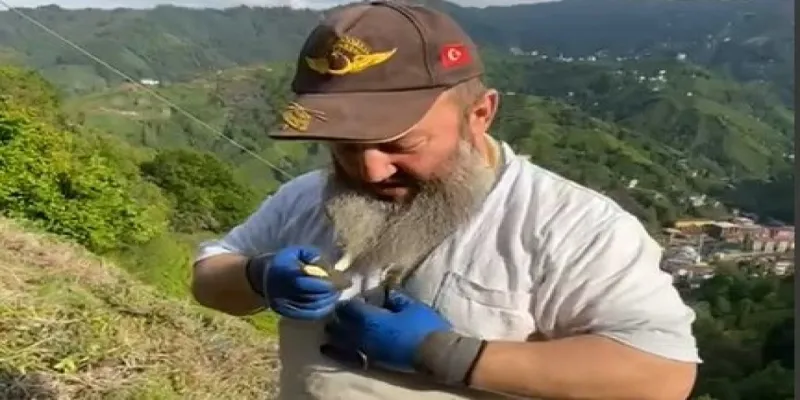 Rize'de Şok! Çiftçi Yılanı Boynuna Doladı! İşte O Anlar!