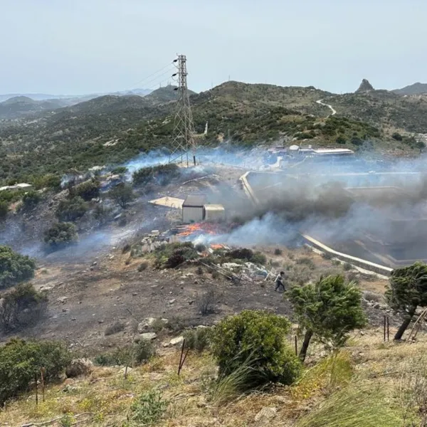 Bodrum'da Korkutan Yangın! Evler Tehdit Altında mı?