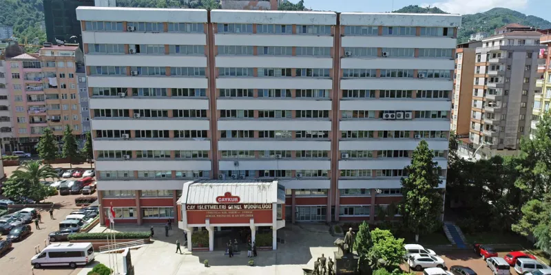 ÇAYKUR'dan Müjde! 2025 Yaş Çay Sezonu Açıldı! Fiyatlar Nasıl?