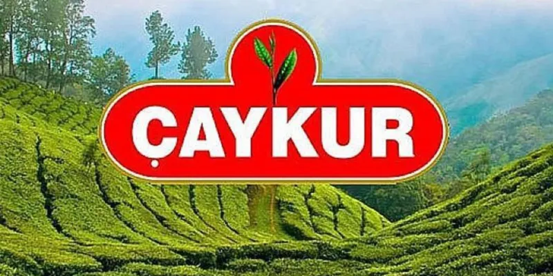 ÇAYKUR Çay Sezonunu Açıyor! Rize'de Çay Hasadı Başlıyor Mu?