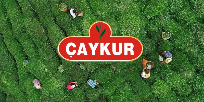 ÇAYKUR'dan Üreticiye Kritik Uyarı! Budama Tespiti İçin Son Çağrı