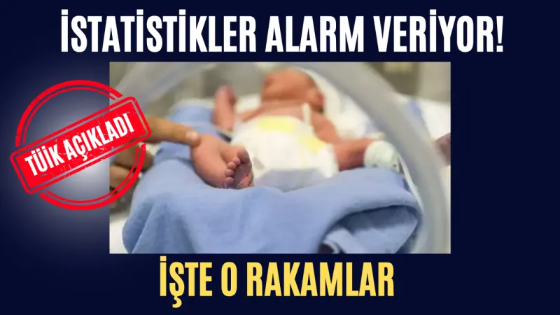 Türkiye'de Doğum Oranları Alarm Veriyor! İşte Şoke Eden Rakamlar