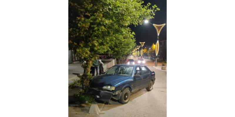 Edirne'de Alkollü Sürücü Ağaca Çarptı! İşte Olay Yerinden İlk Görüntüler