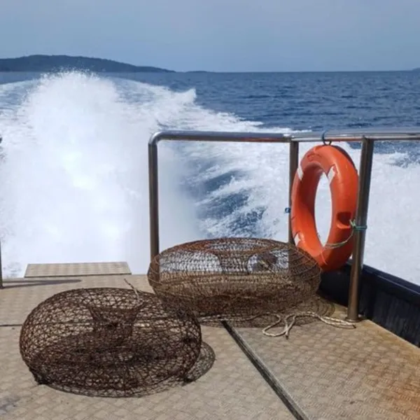 Gökova'da Şok Baskın! Kaçak Avcılara Ne Oldu?