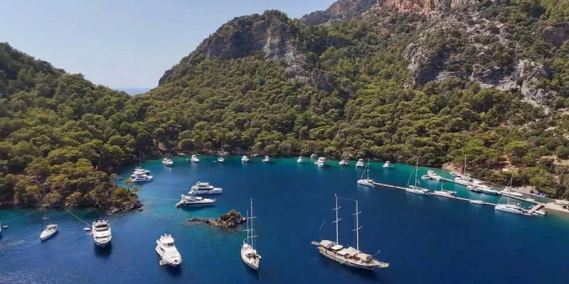Göcek'te Kaplumbağa Alarmı! Müzik Yasaklandı!
