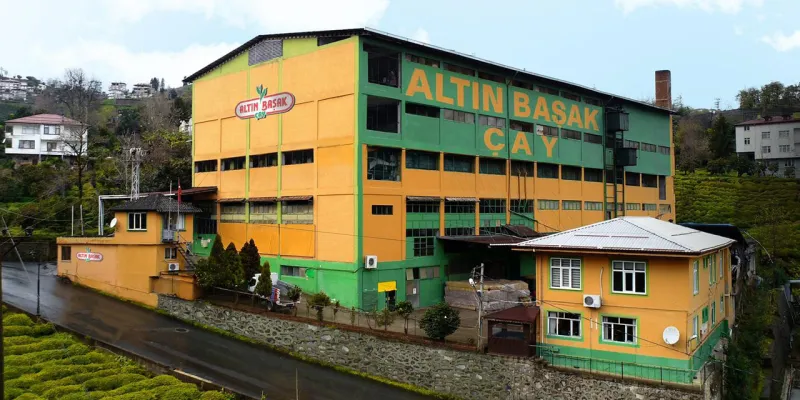 Rize Altınbaşak Çay Fabrikası İş Başvurusu: Yeni Sezon Fırsatı!