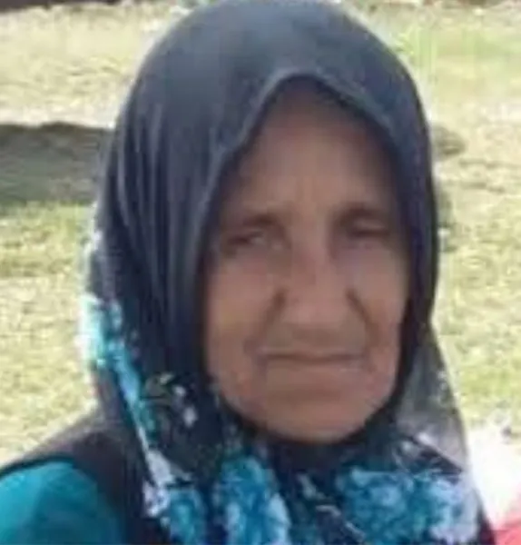 Ordu'da, hafriyat kamyonunun çarptığı yaya öldü