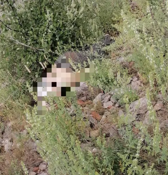 Burdur'da Feci Ölüm! Ot Toplarken Kayalıklardan Düştü