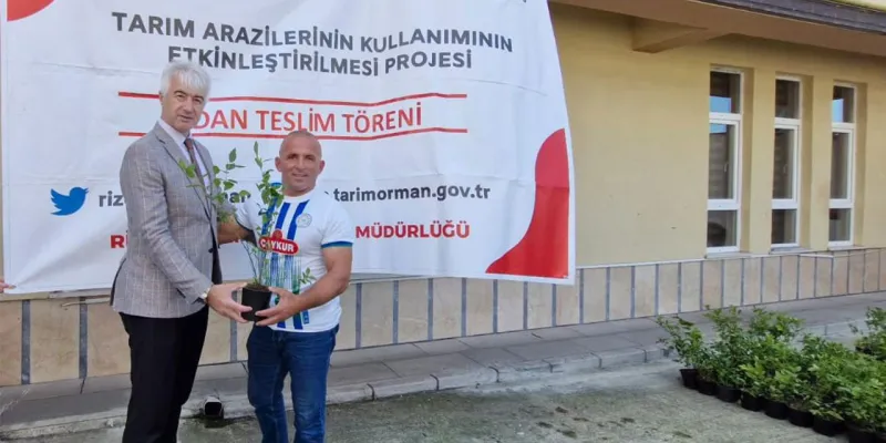 Rize'de Atıl Alanlar Maviyemişle Hayat Buluyor: