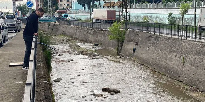 Rize’de derede balık ölümlerine inceleme