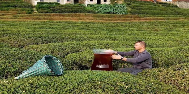 Rize'de dev çay bardağıyla yapılan çekim olay oldu: İzleyenler yapay zeka sandı